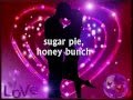 I CANT HELP MYSELF SUGAR PIE, HONEY BUNCH - Lyrics