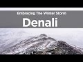 Alaska Bound 14: Embracing the Winter Storm in Denali