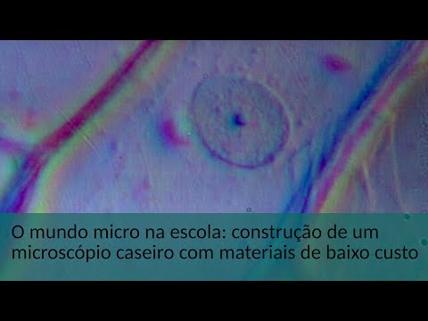 O MUNDO MICRO NA ESCOLA: CONSTRUÇÃO DE UM MICROSCÓPIO DE BAIXO CUSTO