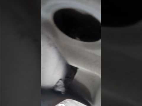 Пыл в багажнике на Ниссан Куб, оказалось все просто