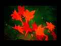 Four Tet - Parallel Jalebi / Beautiful Rewind (Video)