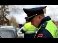 На Юбилейном снова сбили пешехода