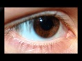 Brown Eyed Girl Jimmy Buffett