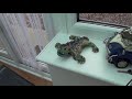 Y3000 - The Smallest 720p Camcorder In The World (REVIEW)