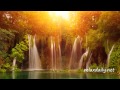 Slow Background Music Instrumental - piano & guitar - relaxdaily N°040