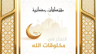 مقتطفات رمضانية : 16 - التفكر في مخلوقات الله