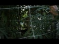 Jorge Cervantes: Nomaad's Garden 2011 (Part 2)