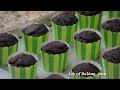 Chocolate Cupcakes Recipe Demonstration - Joyofbaking.com