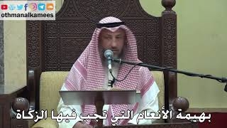 983 - بهيمة الأنعام التي تجب فيها الزكاة - عثمان الخميس - دليل الطالب