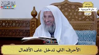 12 - الأحرف التي تدخل على الأفعال - عثمان الخميس