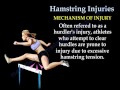 Hamstring Injuries - Everything You Need To Know - Dr. Nabil Ebraheim