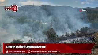 Samsun'da örtü yangını korkuttu