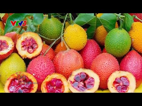 Món ngon mùa chay: Súp gấc dinh dưỡng
