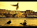 Terry Lee Brown Jr - Stereopsis (Original Mix).wmv