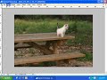 Lesson 1: Introduction to Photoshop Layer Masks