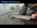 Fishing with Rod: Sea Trout on the Fly (Havørred fra Tryggevælde Å)