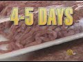 DIRTY Little SECRET about MEAT