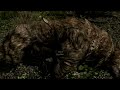 Lag of Skyrim (PS3) After 1.9 Update - Part 1