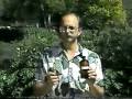 Herb Magic featuring Scott Cunningham part 3 Magic Video