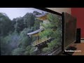 LCD Monitors IPS vs TN Panel difference