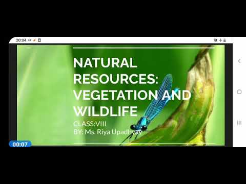 Natural Resources: Vegetation and wild life class VIII part 2