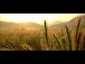 Relaxing Instrumental Music - slow soft peaceful - relaxdaily N°071