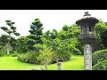 Relaxing Japanese Music with Traditional Bamboo Flute, Koto, Shamisen- Zen Garden Music Video