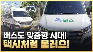 [황금나침반] 택시처럼 부르면 오는 버스가 있다? / YTN 사이언스