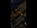 All my rc cars and trucks and boats
