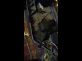 All my rc cars and trucks and boats