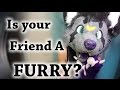 Signs Your Friend Might Be a Furry