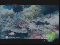 Mata Pancing (26 Jan 2014) - Memacu Jetski Taklukan Ikan