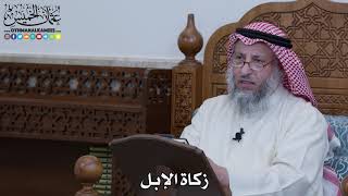 1108 - زكاة الإبل - عثمان الخميس