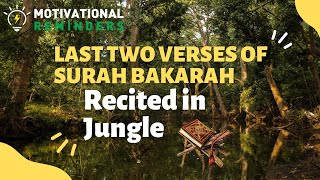 RECITING LAST TWO VERSES OF SURAH BAKARAH IN THE JUNGLE - AMANAR RASULU
