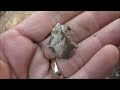 Missouri Arrowheads - First Week of May - Morel, Quick Point Hunt and Bryce's 1st Car