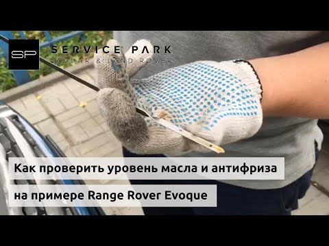 Проверка уровня масла и антифриза на примере Range Rover Evoque техцентра Сервис Парк