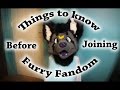 Things you should know before joining the Furry Fandom