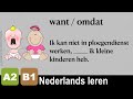 NT2 A2 B1 Want of Omdat - Vul in - Oefeningen - NEDERLANDS LEREN - grammatica - Woordenschat[1]