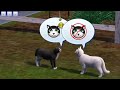 Let's Play: The Sims 3 Pets - (Part 6) - Adoption