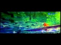 Vijay Sad Song - Anal Thanil Vazum Hd Song - Chandralekha Movie.