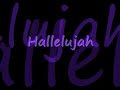 Rufus Wainwright- Hallelujah (Lyrics)