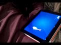 iPad Game For Cats (Friskies - Fishing)