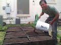 How to Build a FREE Plastic Crate Raised Bed Garden