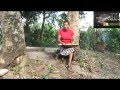 Semillas de Auyama - Rutas, Sabor y Tradición