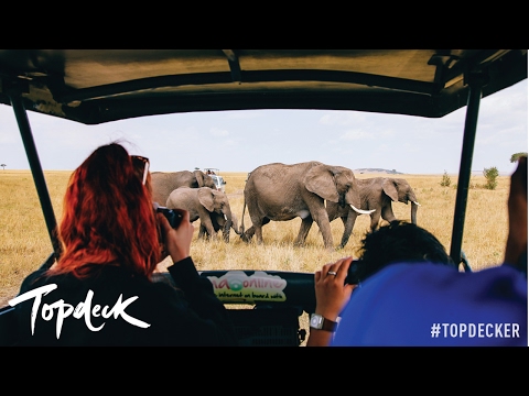 Africa: Why you should go to Africa