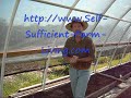 Efficient Hoop House