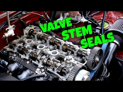 The ULTIMATE Guide To Replacing Valve Stem Seals The Easy Way