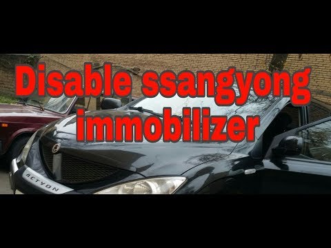 Disable ssang... immobilizer (ssang ... immo off)