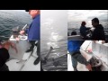 BC Sports Fishing - salmon & halibut, Port Renfrew