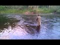 Single-handed Spey casting on the Findhorn